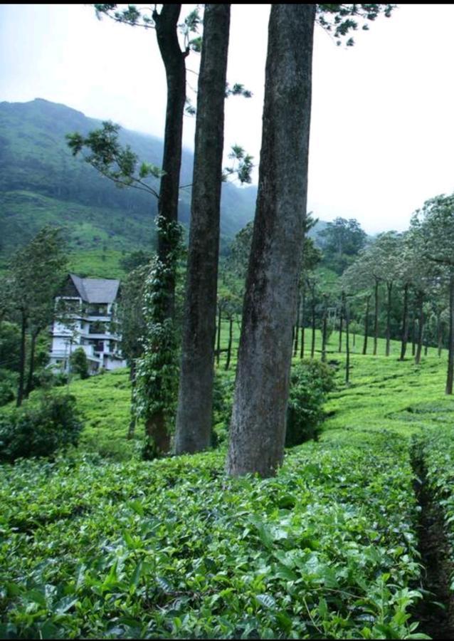 Bed and Breakfast Gruenberg Tea Plantation Haus Муннар Экстерьер фото